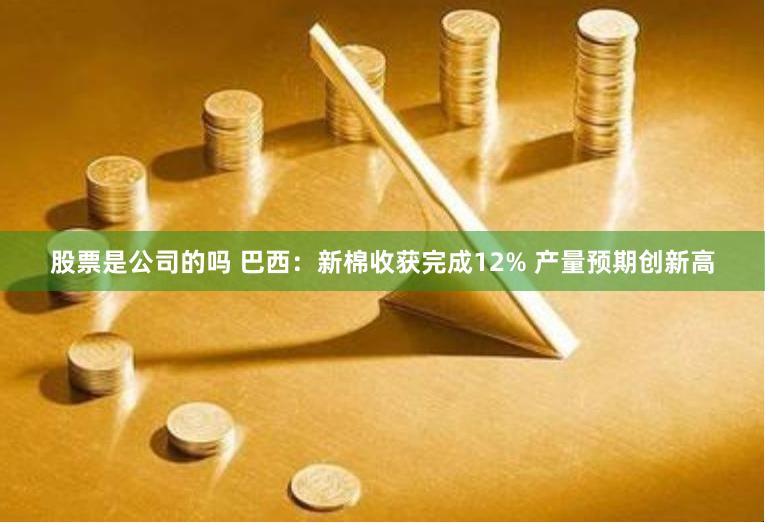 股票是公司的吗 巴西：新棉收获完成12% 产量预期创新高