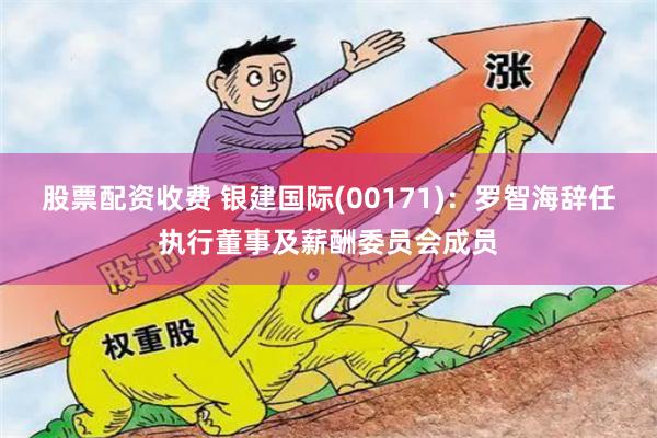 股票配资收费 银建国际(00171)：罗智海辞任执行董事及薪酬委员会成员